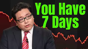 TOM LEE "BUY THIS TARIFF DIP!"