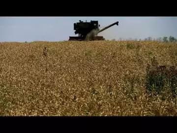 Ukraine's Farming Industry Devastated: Howard Buffett