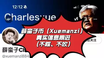 薛蛮子币（xuemanzi）真实信息跟进（不踩、不吹）