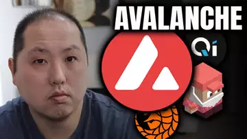 REASONS TO BE BULLISH ABOUT AVALANCHE