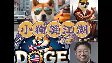小狗笑江湖   （词曲： Dr Robert Lee   有感于马斯克的政府效率部门DOGE  编号：RLAM-F-036）