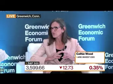 Cathie Wood: Algorithms Are Dominating the Market