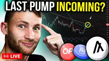 Pullback Before A MASSIVE Altcoin PUMP?