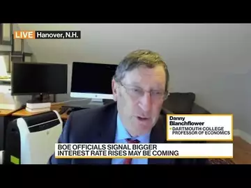 Blanchflower on UK Economy, BOE Policy, Political Chaos