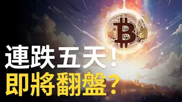 比特幣連跌五天 !︱比特币即翻盤 ? ︱BTC下個牛市看好這【山寨老幣 】
