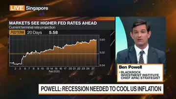 Inflation Not Down as Quickly as Hoped: BlackRock’s Powell