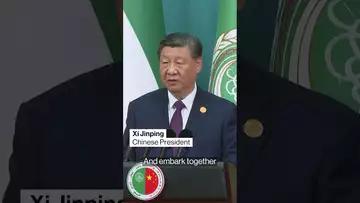 China's Xi hosts Arab leaders in Beijing #china #politics
