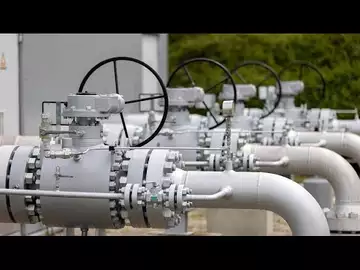 Gas Price Cap 'Dangerous,' Says DIW Energy Analyst