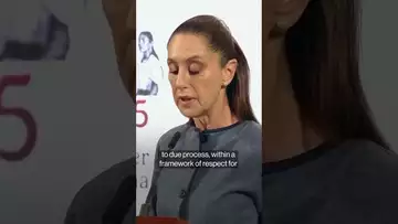 LA Protests: Mexico's Sheinbaum Vows to Protect Any Citizens That are Arrested
