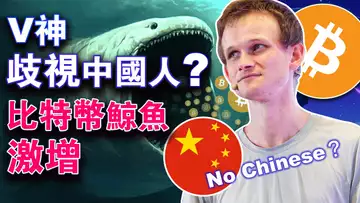 V神歧视中国人事件当事人现声说法; 比特币鲸鱼激增;迪拜发展数字生态;比特币DeFi;BingX开通BRC20充提服务