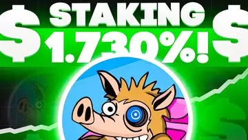 Snorter Token 🚀 Wordt dit de volgende 100x crypto-hit?