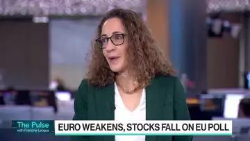 EU Election Results Could Mean 'Bumpy Ride', PGIM Says