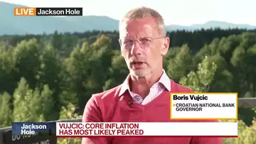ECB’s Vujcic: More Price Data Needed to Determine Interest Rate Peak