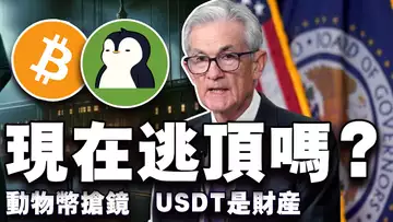BTC破十万是“开胃菜”?比特币ETF持仓超中本聪;动物币从萌宠到十亿富翁;人民法院“撑腰”虚拟货币?萨尔瓦多赚翻捷克蹭热度 20241209