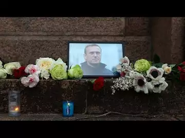 Navalny's Death: What Could it Mean for Ukraine in the War Against Russia?