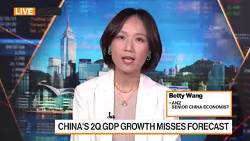 Making Sense of China’s Economy