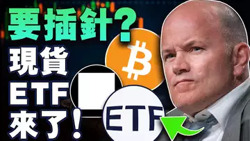 要插针?现货ETF来了;马斯克蹭热泰勒·史薇芙;DIS与ETHF合并;滚石杂志嘲讽NFT