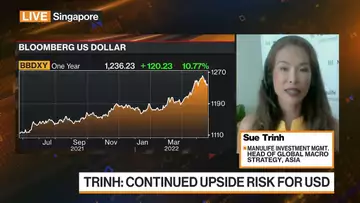 Upside Risk to Dollar Likely to Continue: Manulife Investment Management