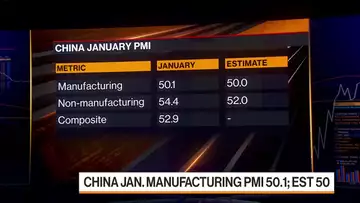 China’s January PMIs Show Sharp Rebound