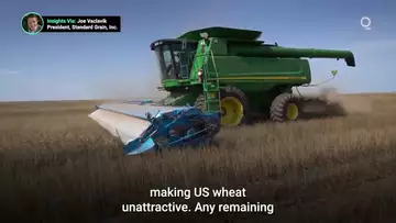 Wheat Futures Hit 18-Month Low