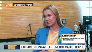EU's Simson Sees Broad Support for Energy Proposals