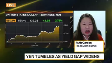 Japanese Yen Falls to Two-Decade Low as Interest-Rate Gap Widens
