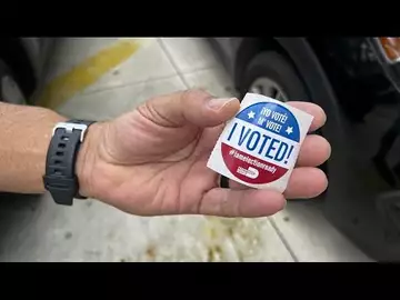 New York and Florida Hold Primary Elections