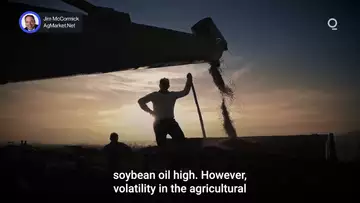 Biodiesel Growth Powers Soybean Oil Demand | Presented by CME Group