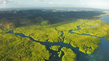 The Startup Revolutionizing Biodiversity Reporting