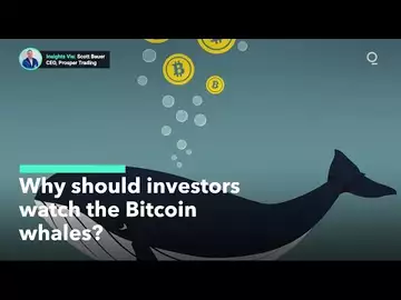 What Is a Bitcoin "Whales" and Why Investors Should Watch Them?
