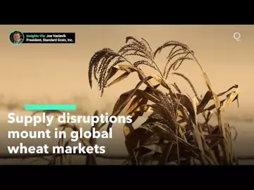 Supply Disruptions Mount in Global Wheat Markets
