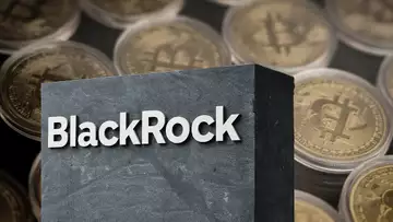 Starting to See More Wealth Advisors in Crypto: BlackRock's Mitchnick