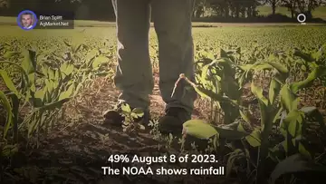 US Farmers Face Tough Growing Season | Presented by CME Group