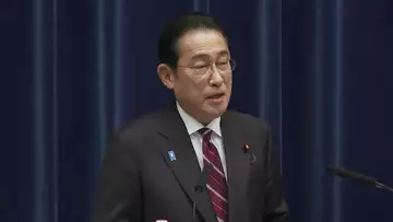 Japan's Kishida: Excessive FX Moves Are Undesirable