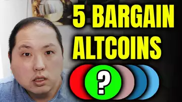 DON'T MISS THESE 5 BARGAIN ALTCOINS WHILE BITCOIN IS SLEEPING!!!