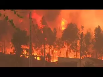 Wildfire Threatens to Engulf Village in Central Portugal