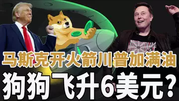 “狗狗”的“太空梦”,马斯克开火箭,川普加满油,下一站6美元?20241208