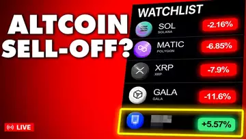ONE Altcoin's Showing STRENGTH During This Market MELTDOWN!