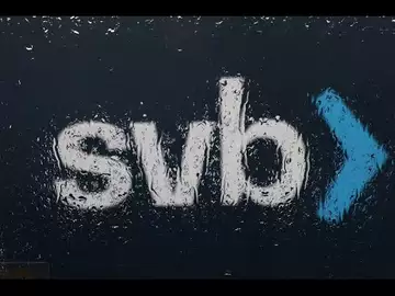SVB Collapse: What Should Startups Do Now?