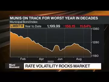 Munis a Great Spot to Invest Now, Vanguard's Malloy Says