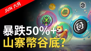 山寨币熊市 !?︱六月山寨币暴跌50%︱市值消失1000億U! ︱山寨幣跌到底? 【建議用1.5倍速觀看】