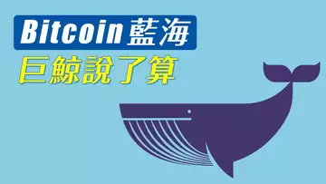 跌破是假跌破,鯨魚是真鯨魚!摸清機構操盤痕跡,下次不再掉陷阱!!!