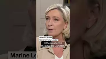France could have a new budget within weeks, Le Pen says #shorts #politics #france