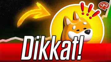 Bonk Adeta Uçuyor! Twitter Sallandı!