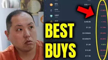 WHICH ALTCOINS ARE BEST BUYS RIGHT NOW?