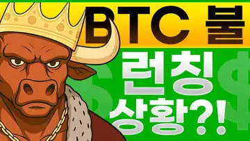 BTC 불 토큰 출시 이후의 상황 알아보기?!