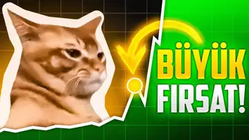 Kahraman Olacak Kedi Coin!