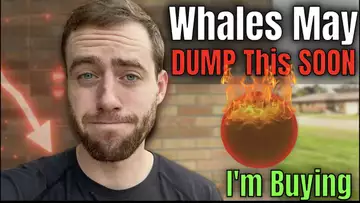 Whales Look Ready To CRASH This Crypto As Much As THEY CAN! How You Can Make 5-10X When It Happens!