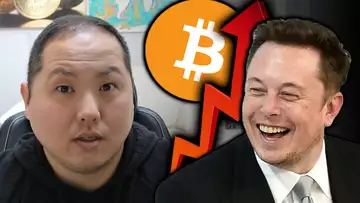 TESLA POSTS RECORD PROFITS | BITCOIN HEADS HIGHER