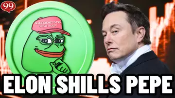 ELON MUSK SHILLS PEPE BUT PEPE COIN IS CRASHING!! WHATS NEXT FOR PEPE?! PEPE PRICE PREDICTION